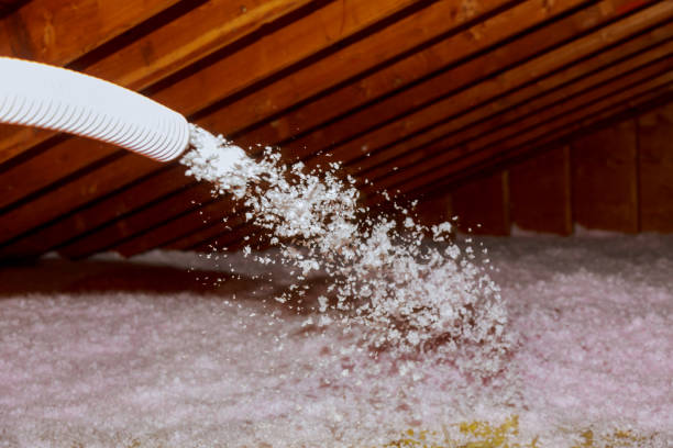 Best Blown-in Insulation  in Wolfe City, TX