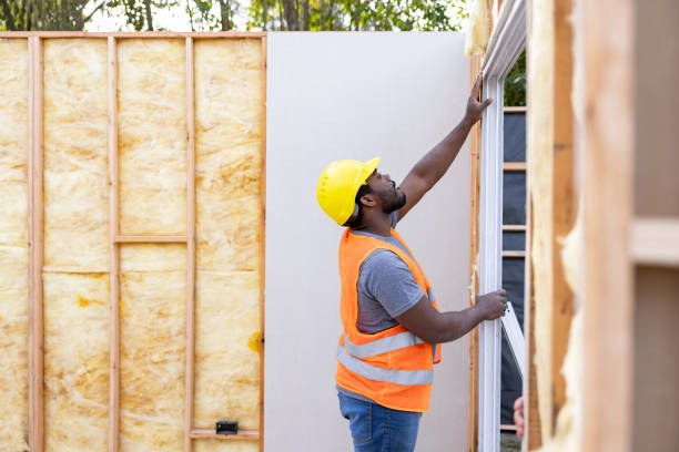 Best Attic Insulation Installation  in Wolfe City, TX