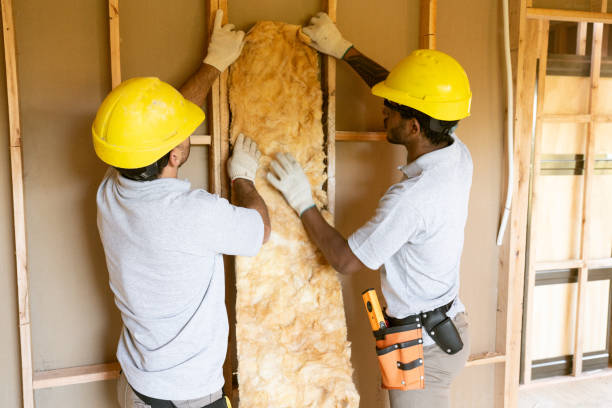 Best Affordable Insulation Services  in Wolfe City, TX