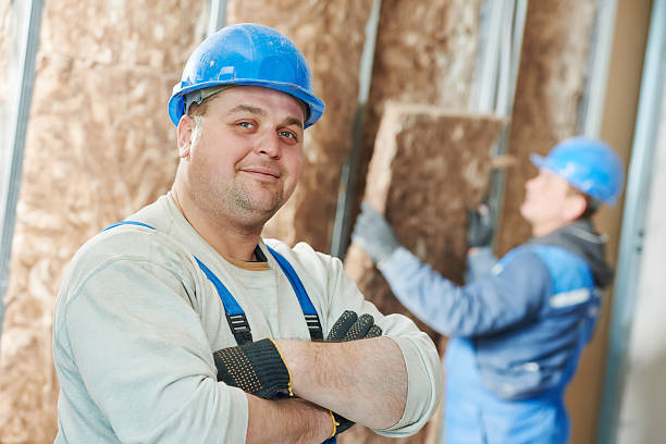 Best Energy-efficient Insulation  in Wolfe City, TX